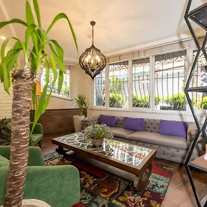 The Marions Special Category Istambul